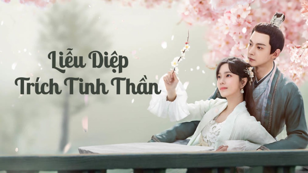 Liễu Diệp Trích Tinh Thần My Wife's Double Life