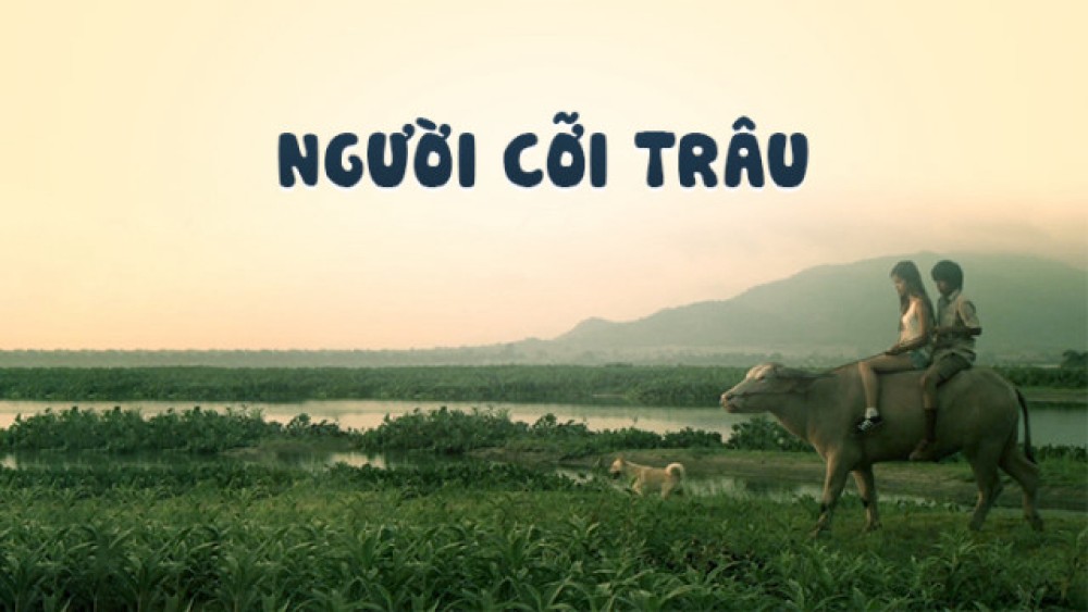 Người Cỡi Trâu Buffalo Rider